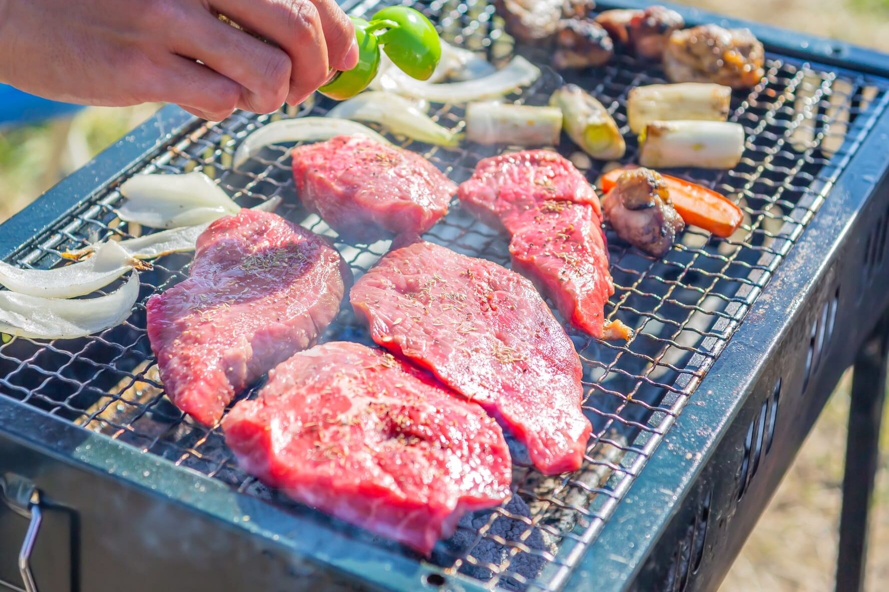 中部山岳国立公園 北アルプス小谷村キャンプ