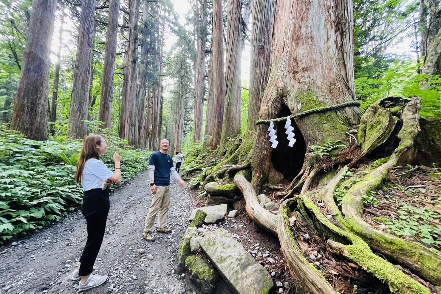 妙高戸隠連山国立公園　保全活動ツアー