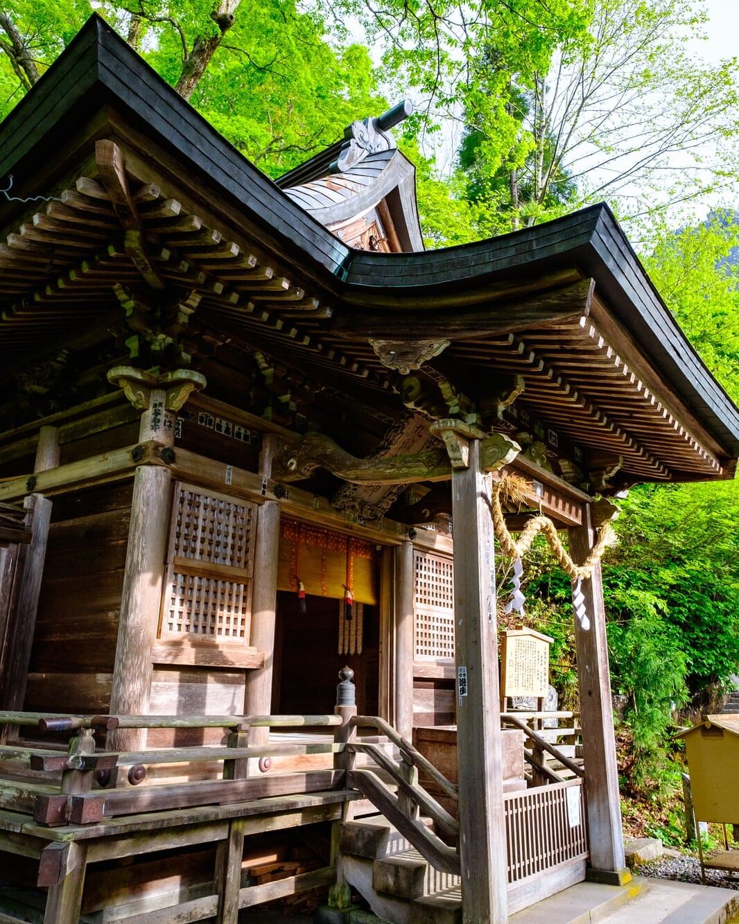 妙高戸隠連山国立公園　保全活動ツアー