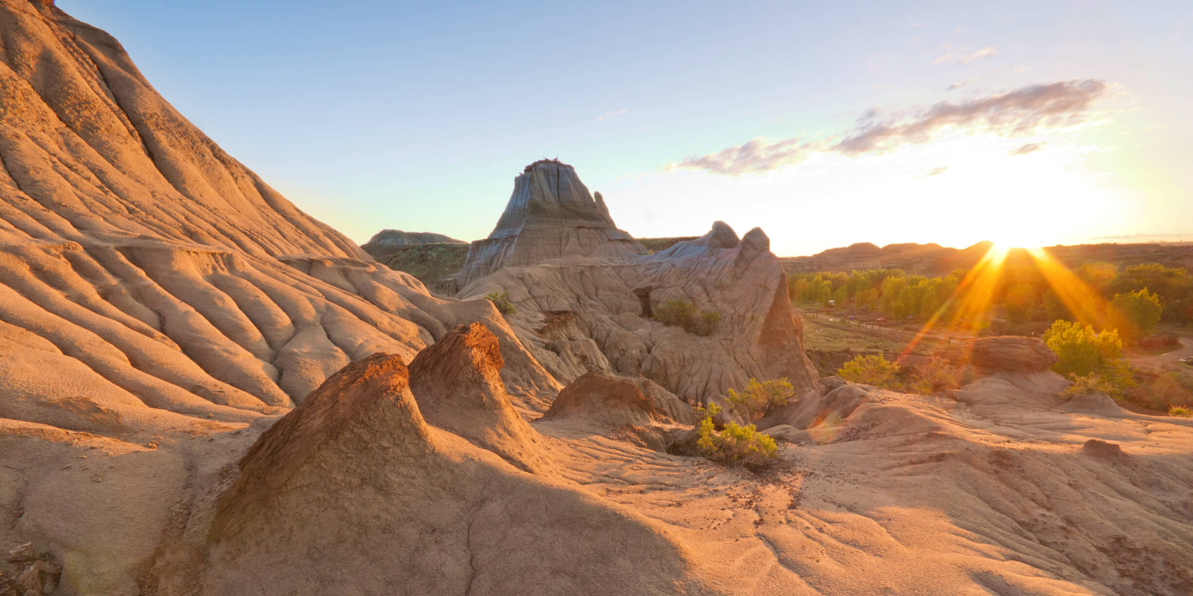 誰もが「恐竜博士」になれる場所
