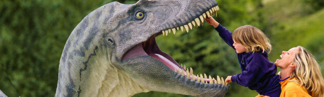 ユニークな文化に触れる