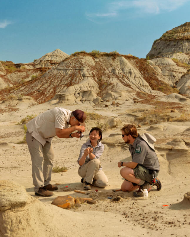 誰もが「恐竜博士」になれる場所