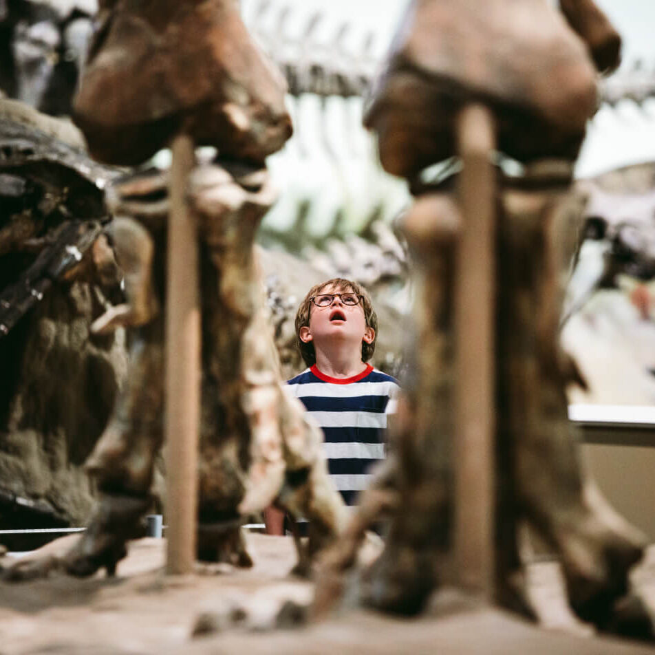 世界最大級の博物館で好奇心を育む