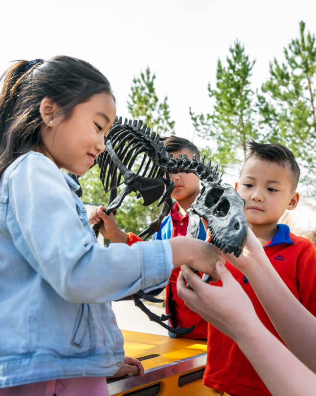 誰もが「恐竜博士」になれる場所