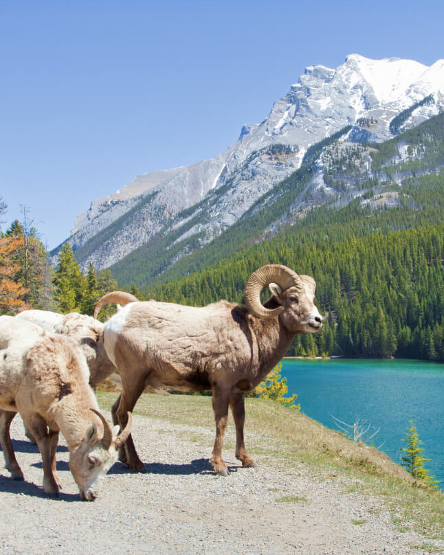 バンフ国立公園