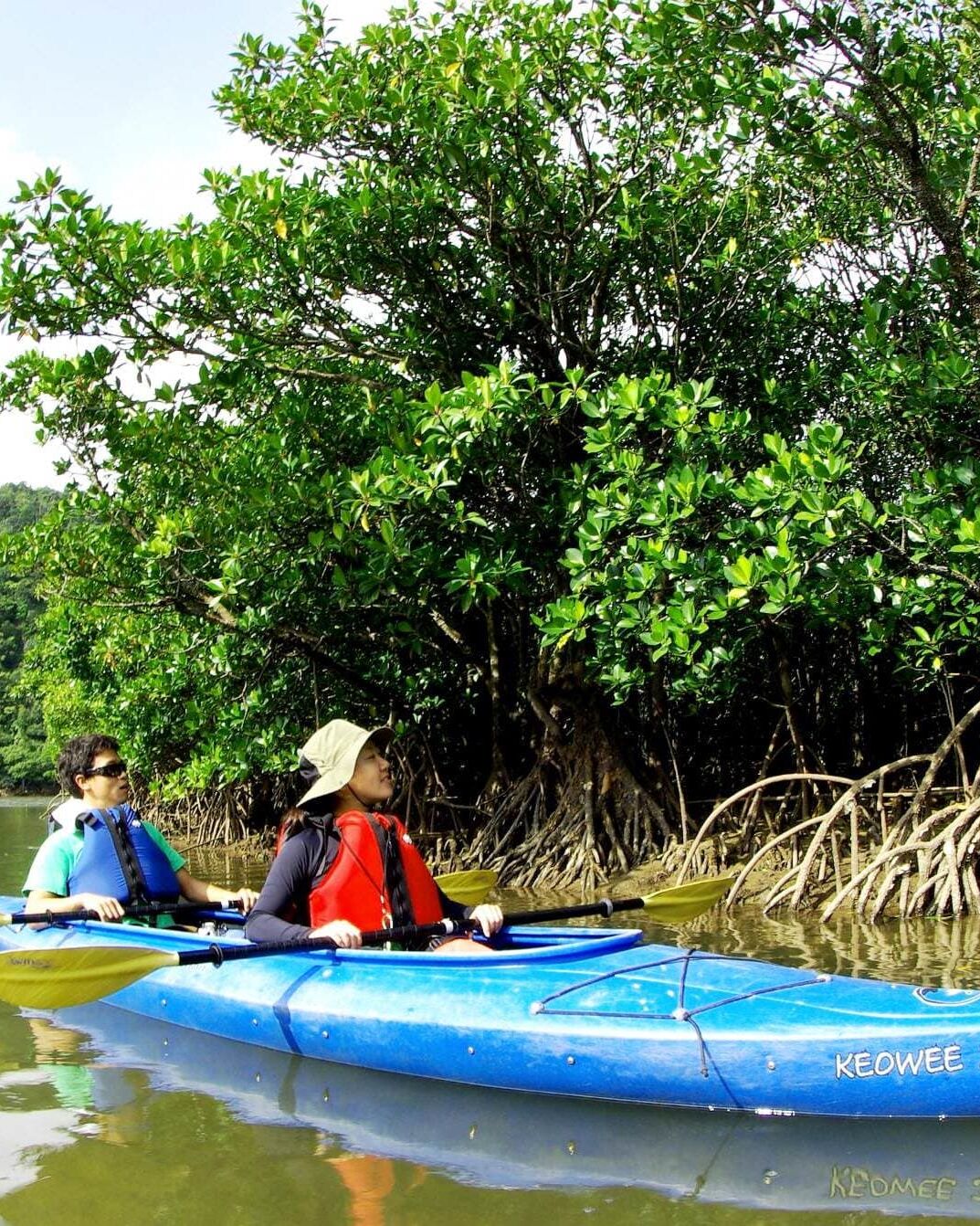 西表島の山川海を遊び尽くすツアー