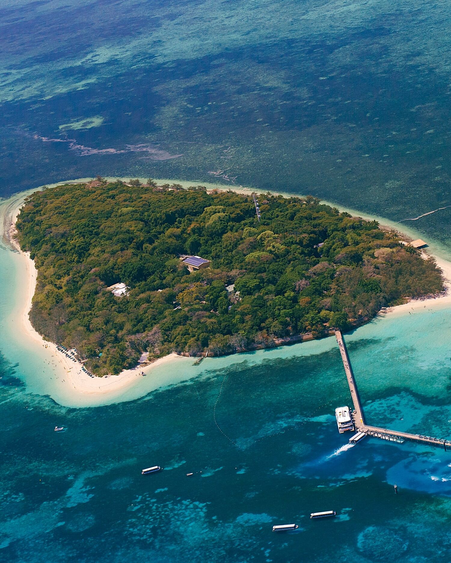 世界遺産グリーン島 エコアドベンチャー