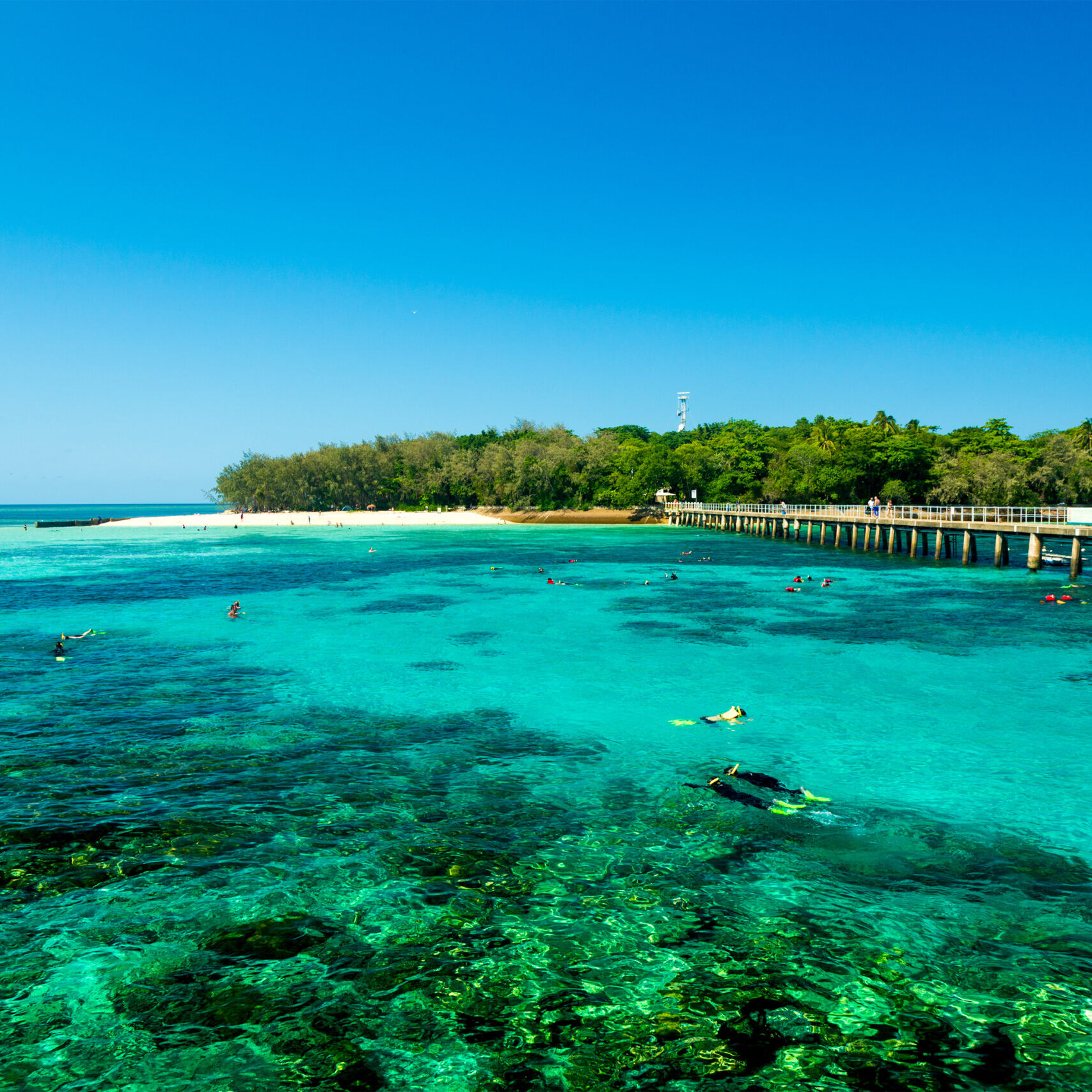 新しい世界に出会う