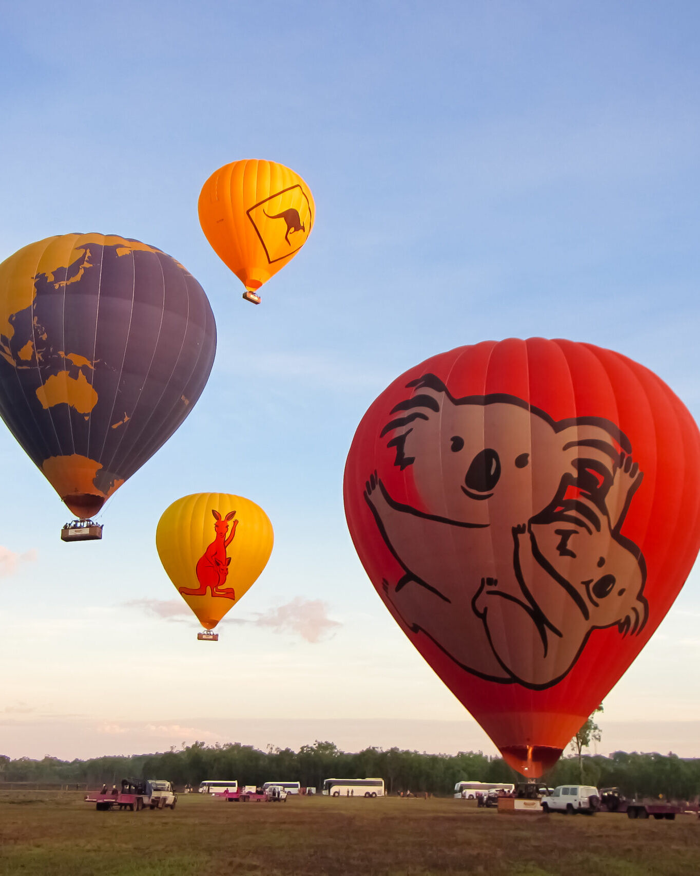 熱気球遊覧飛行ツアー 早朝の幻想的な空の旅