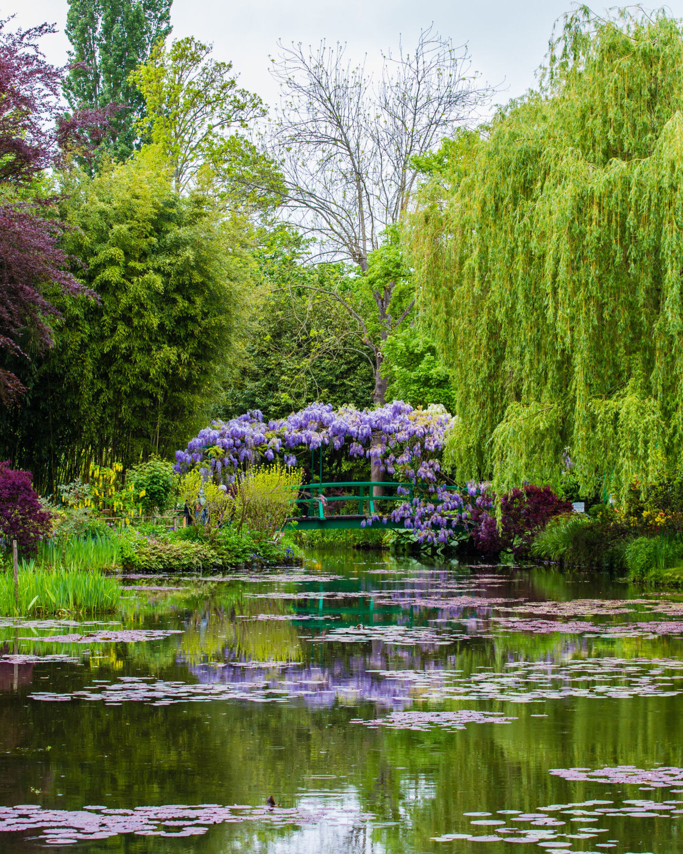 モネの庭園ジヴェルニー 半日観光ツアー