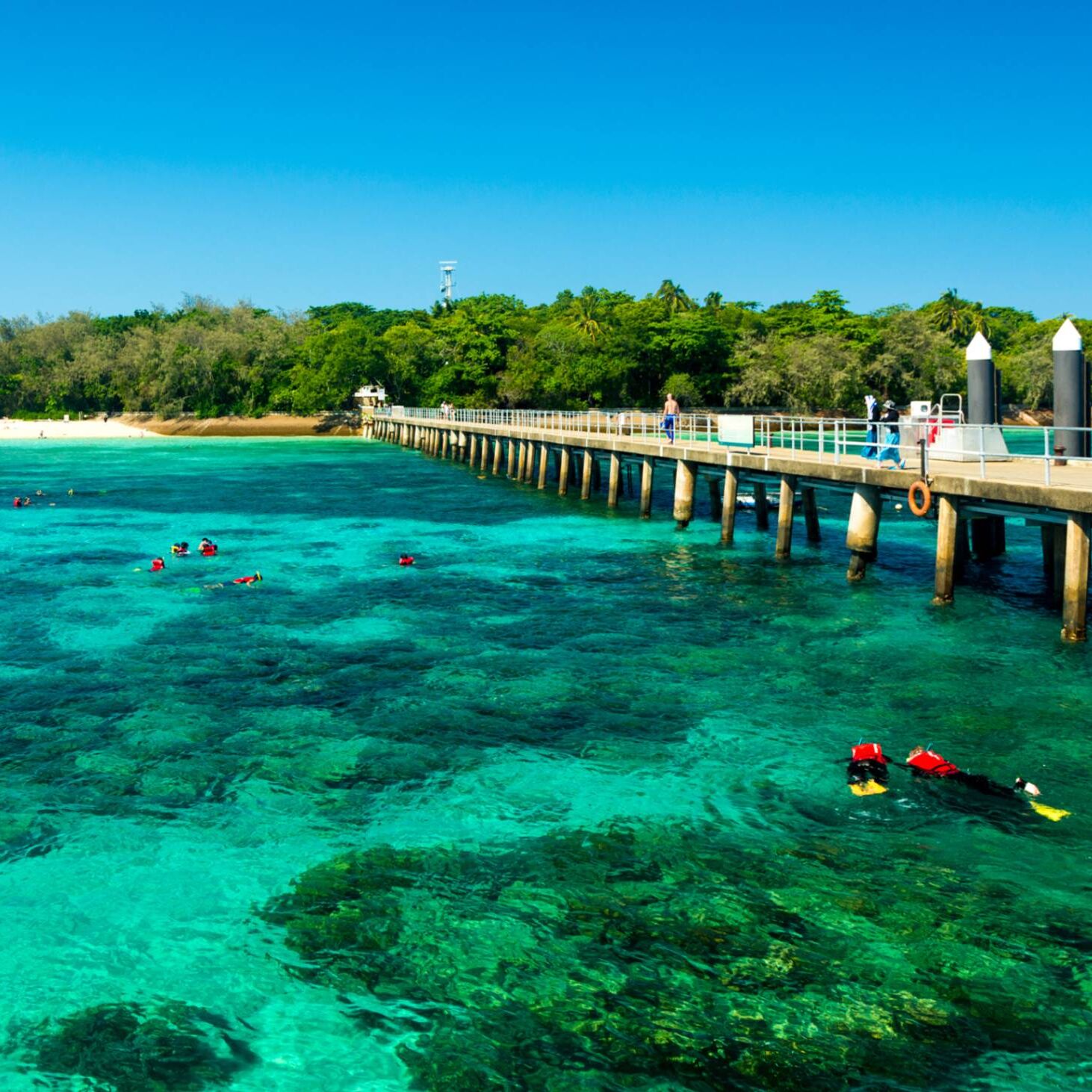 ãªã¼ã¹ãã©ãªã¢