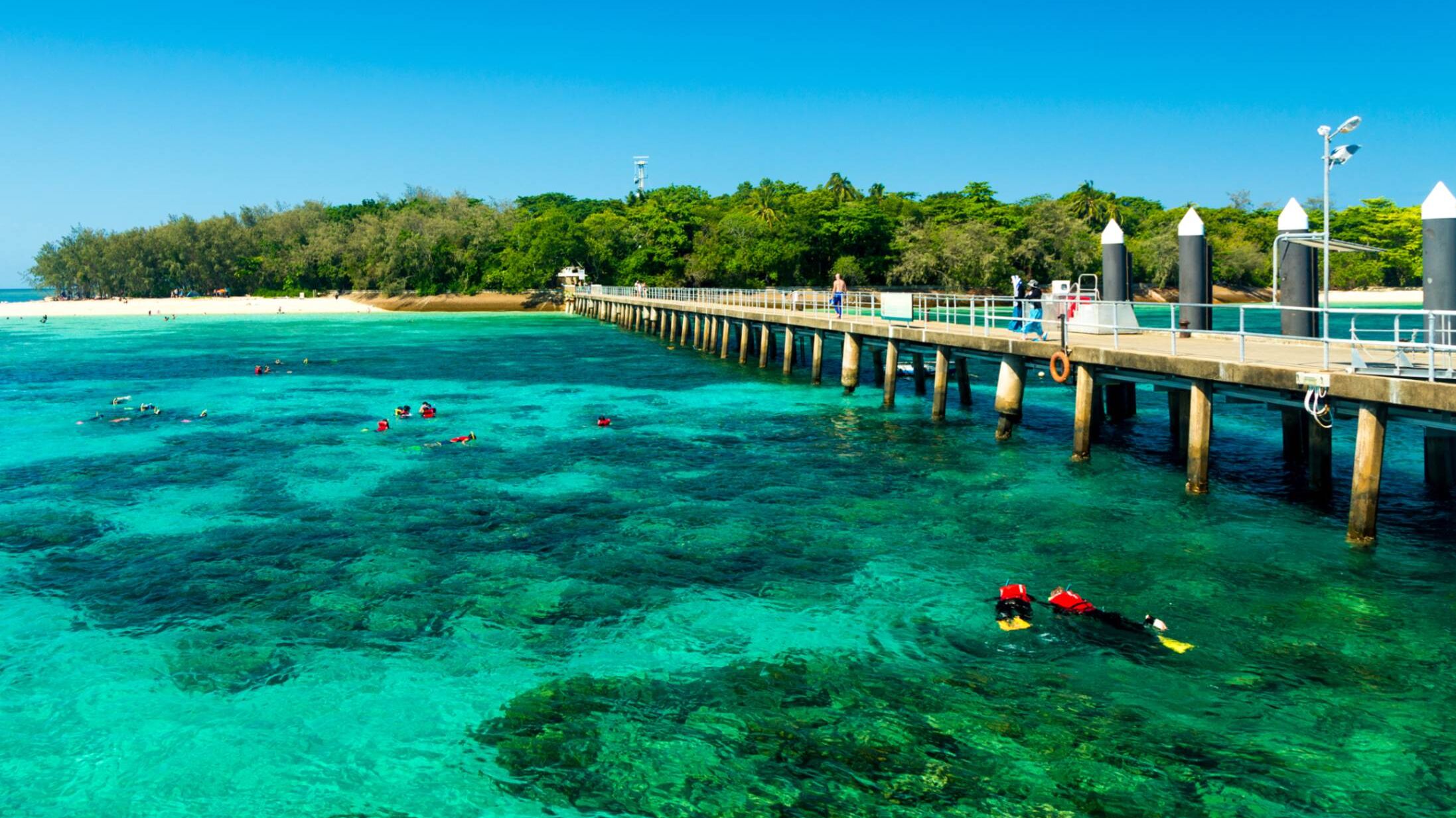 ãªã¼ã¹ãã©ãªã¢