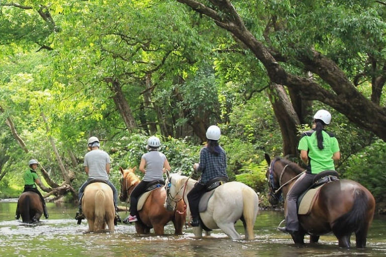 川の中を進む乗馬ツアー