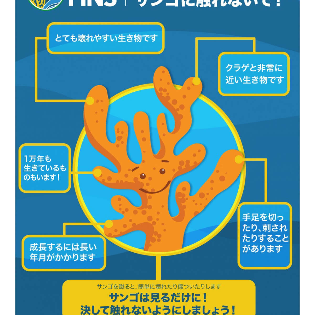 サンゴに触れないで！