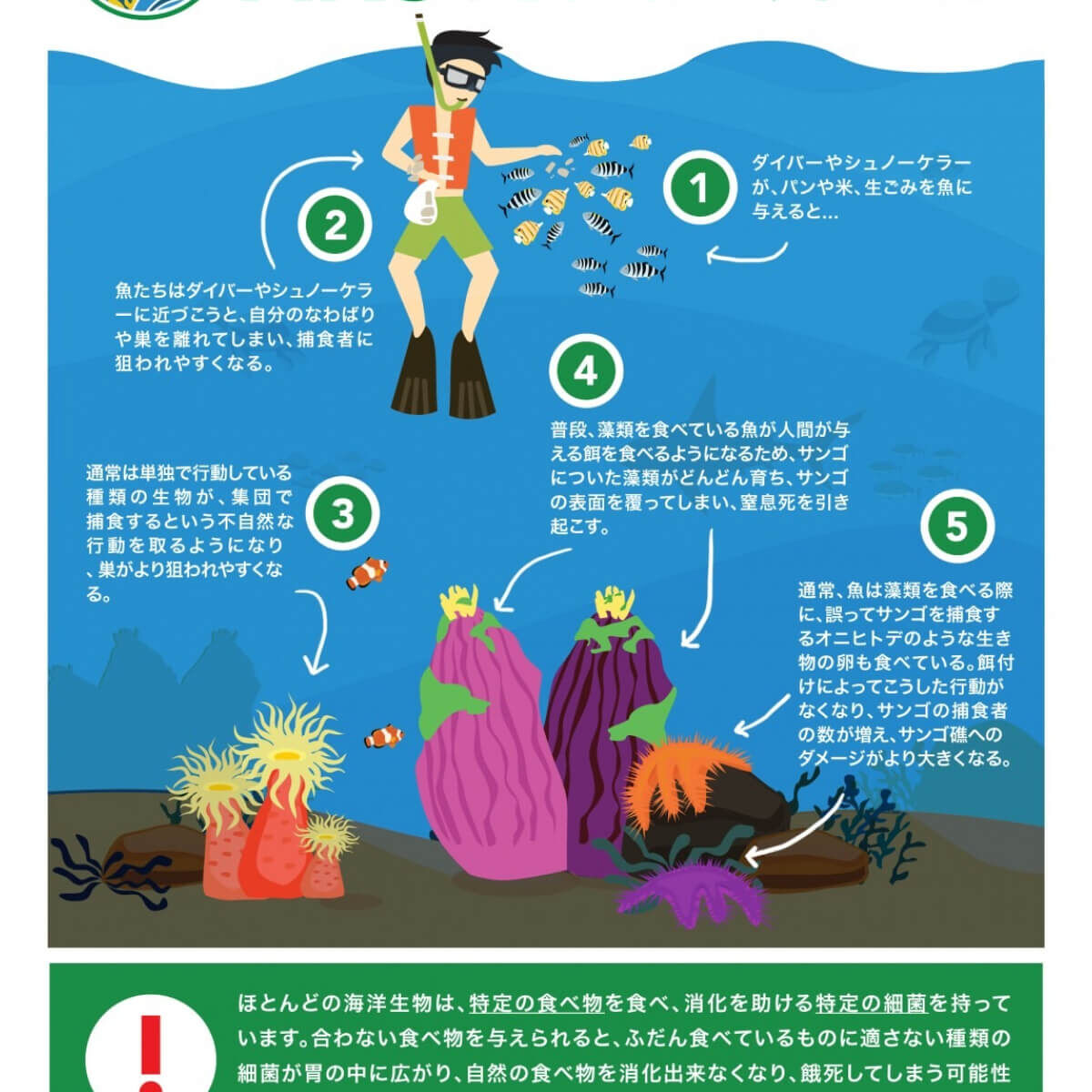 魚の餌付けはなぜいけない？