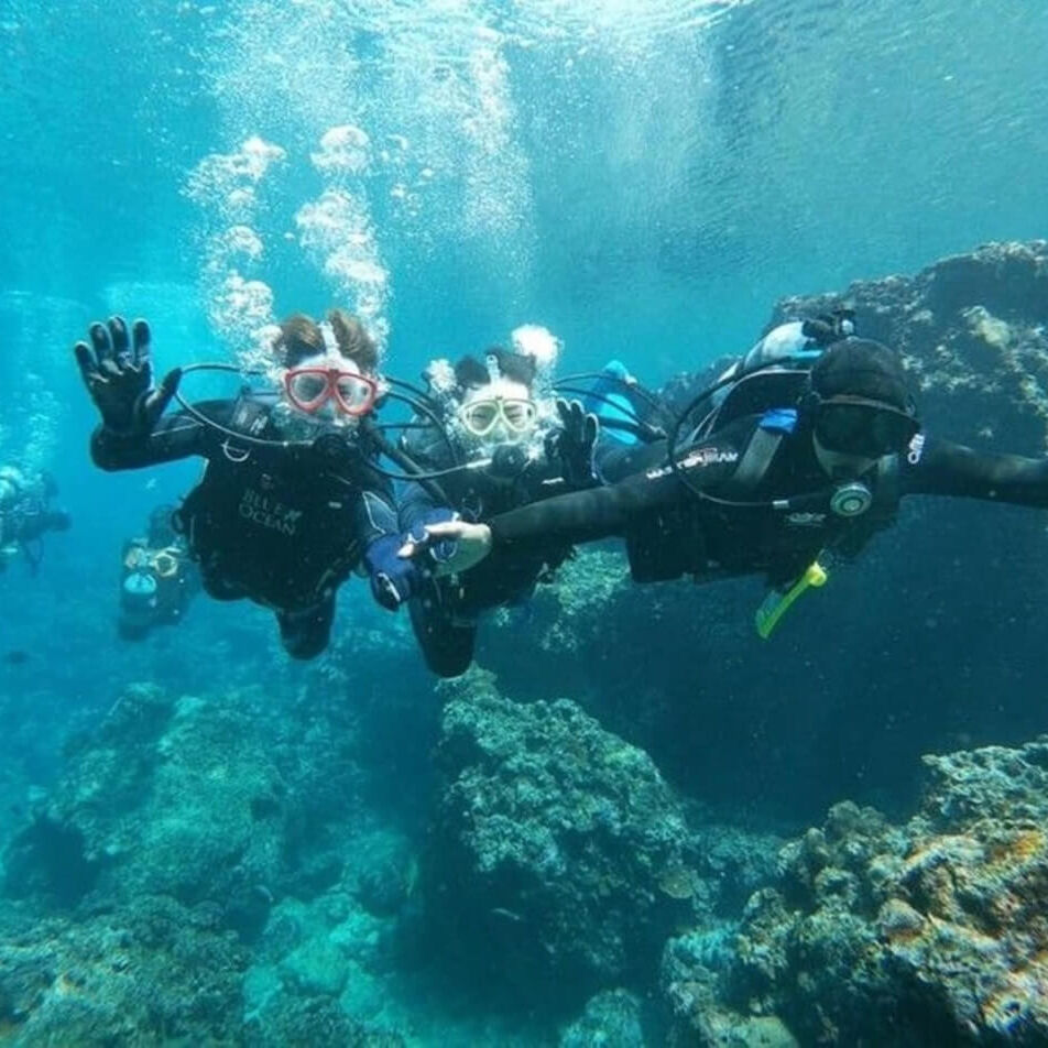 ブルーオーシャン