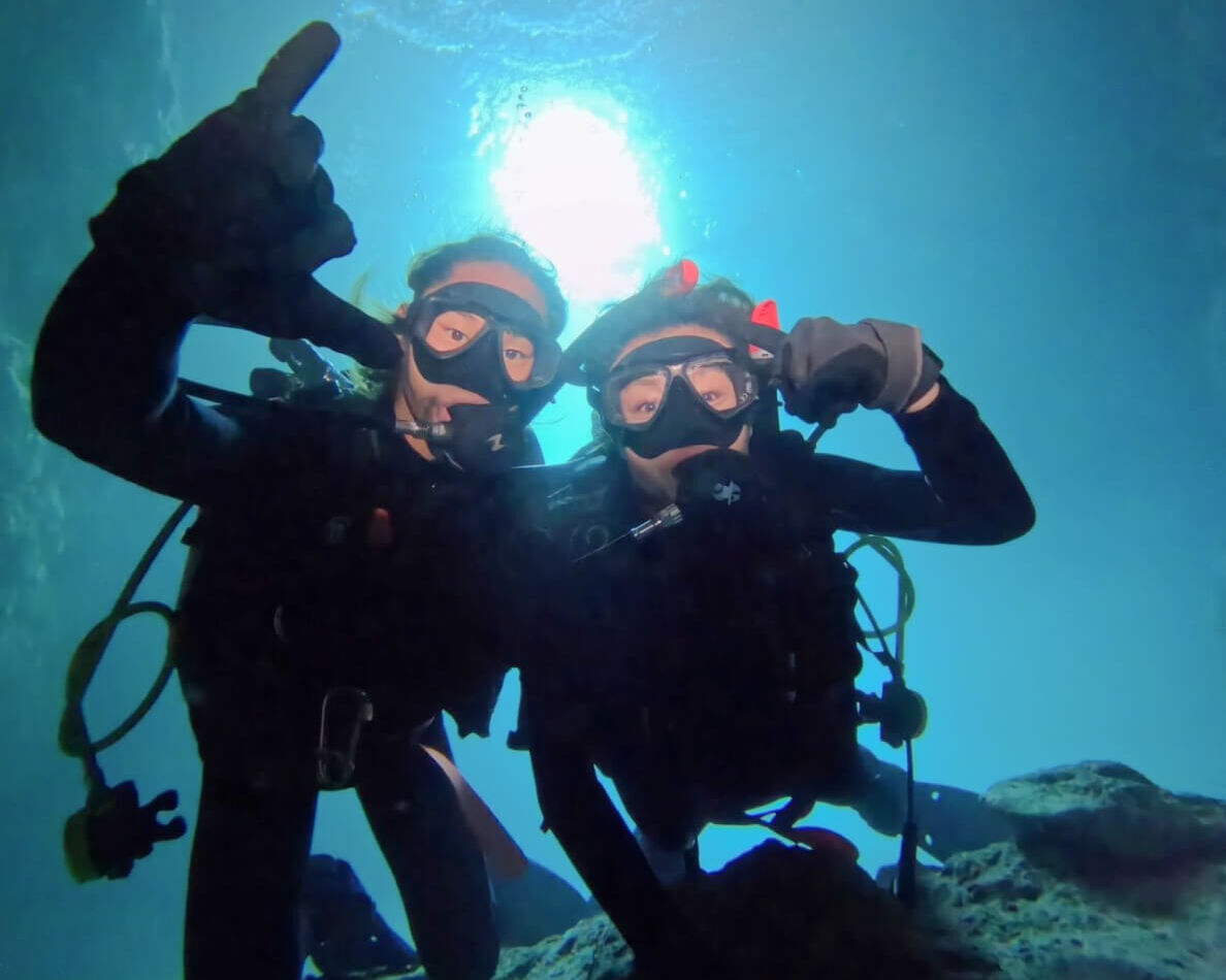 ソードフィッシュ