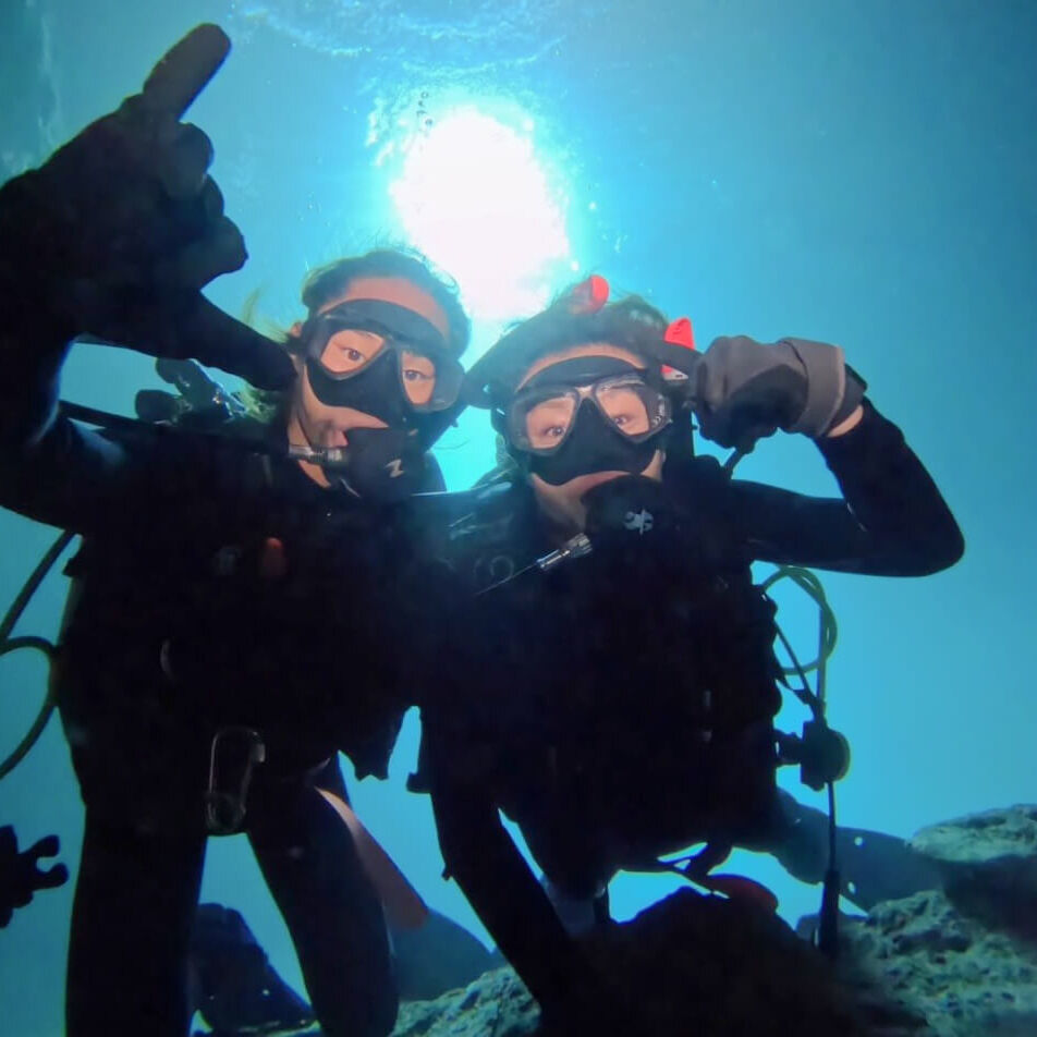 ソードフィッシュ