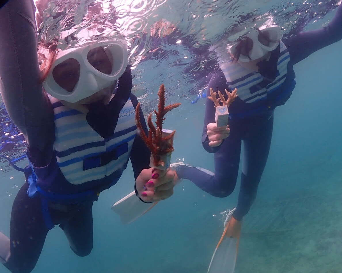 沖縄ダイビングサービスLagoon