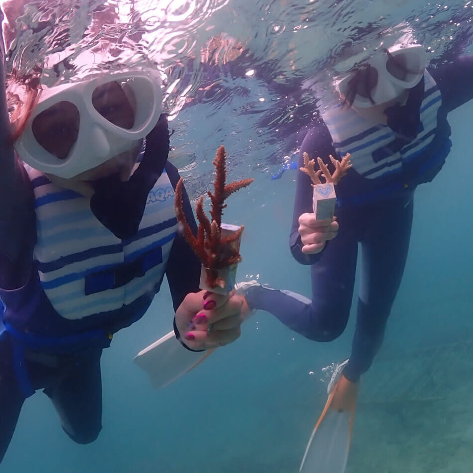 沖縄ダイビングサービスLagoon