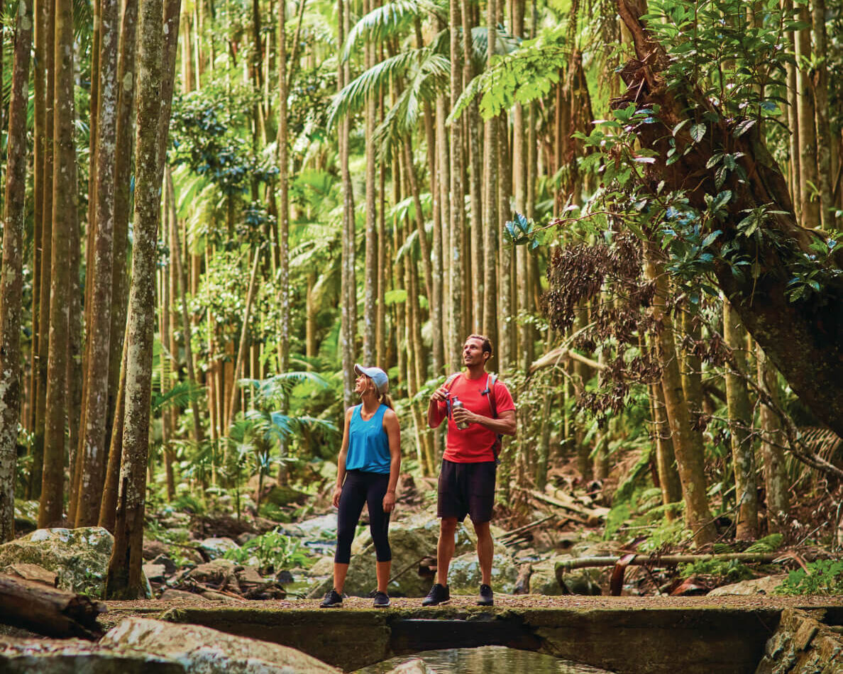 ゴールドコースト有数の避暑地「タンボリン国立公園」