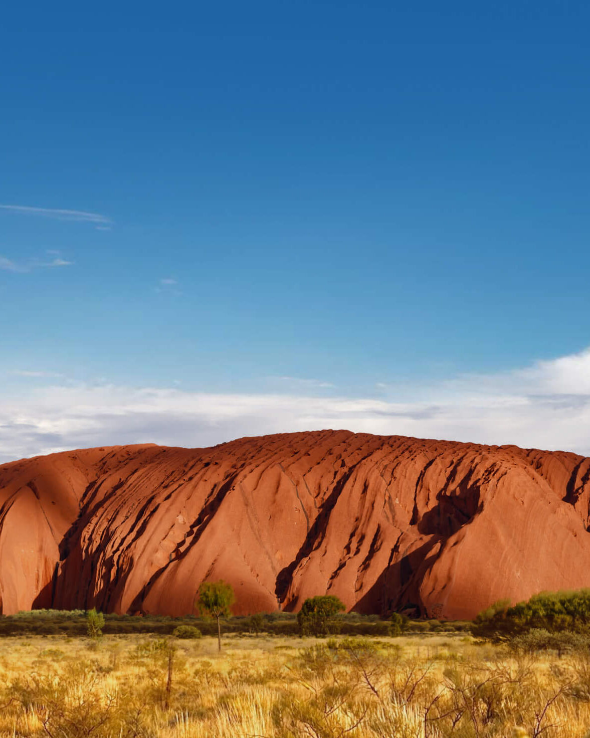 ウルルの楽しみ方 現地ツアー徹底ガイド