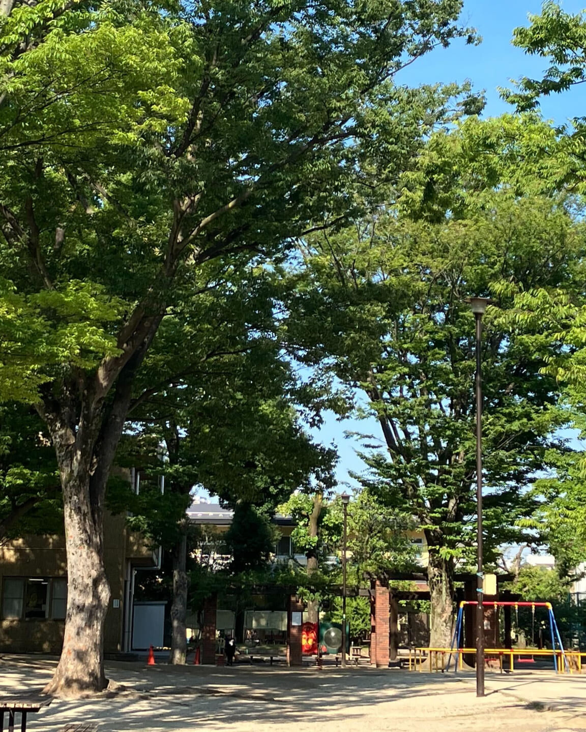 金継ぎに息づく再生の美学