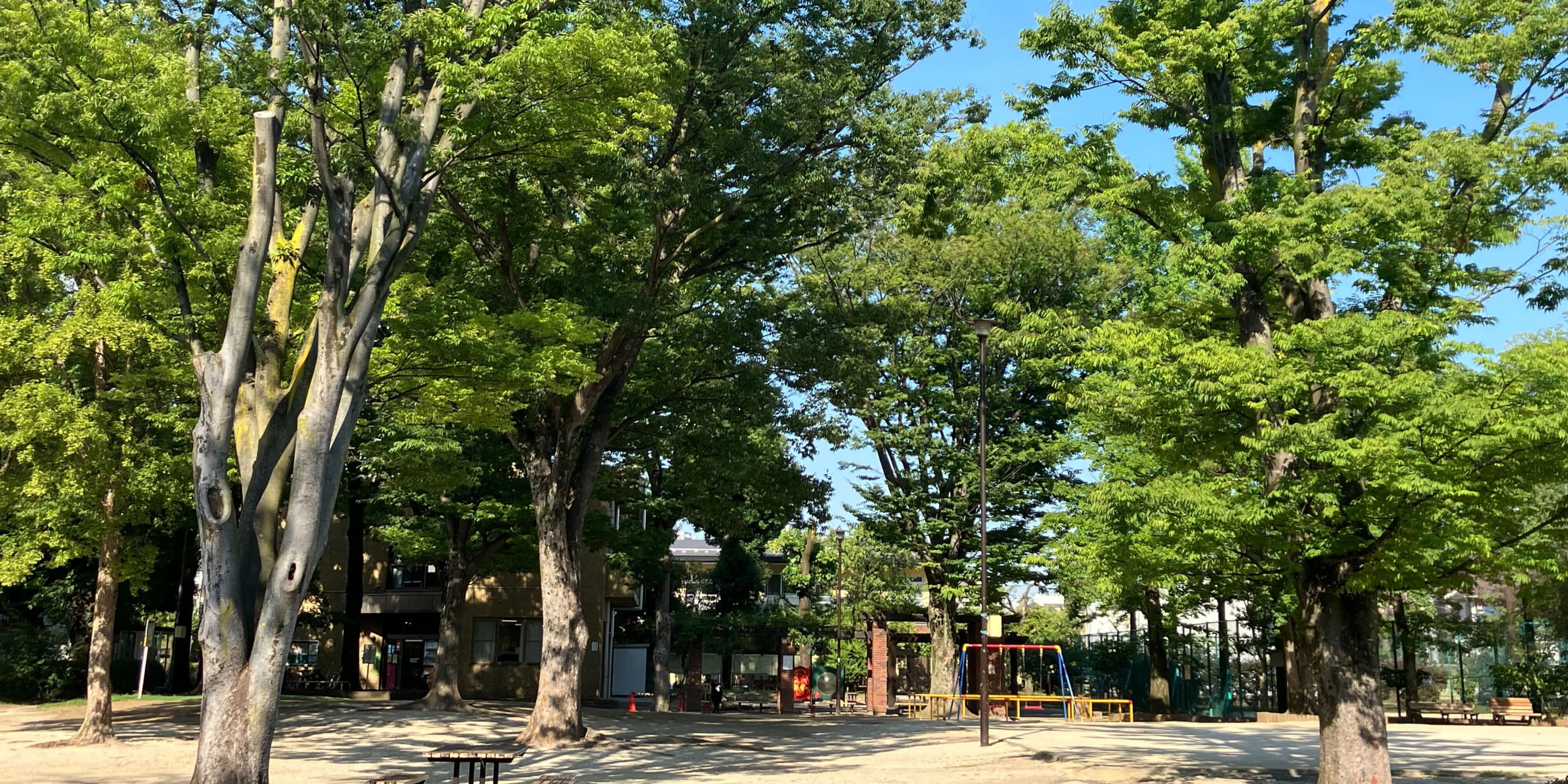 金継ぎに息づく再生の美学