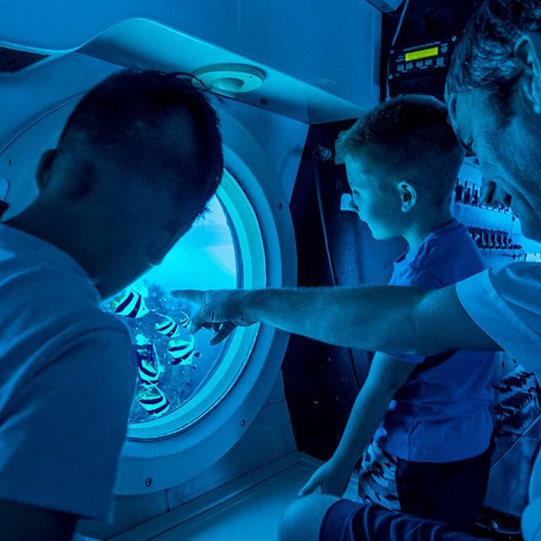 アクティビティ