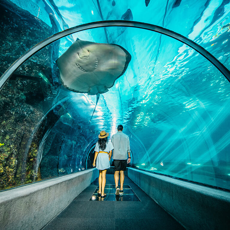 マウイ・オーシャン・センター水族館