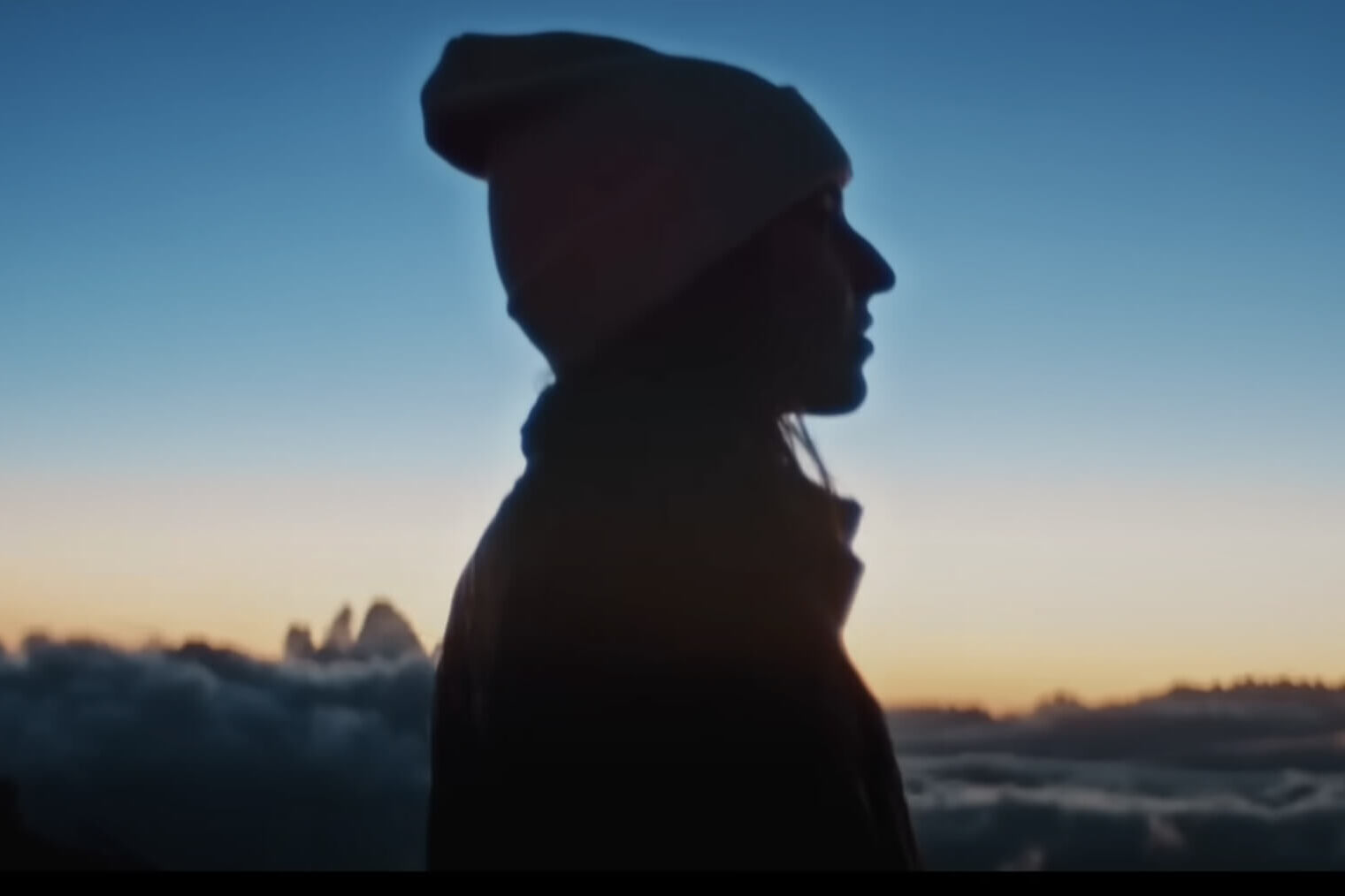 Beautiful Hawaii 動画