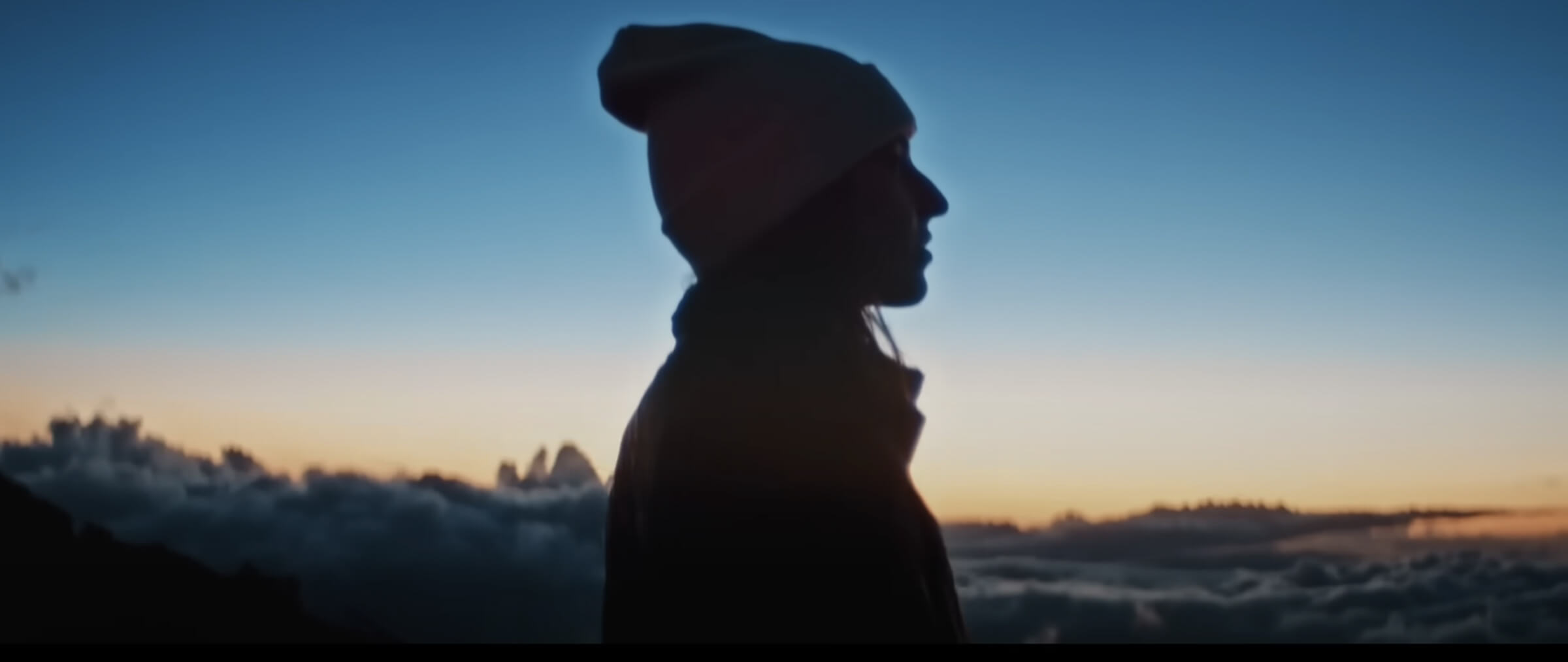 Beautiful Hawaii 動画