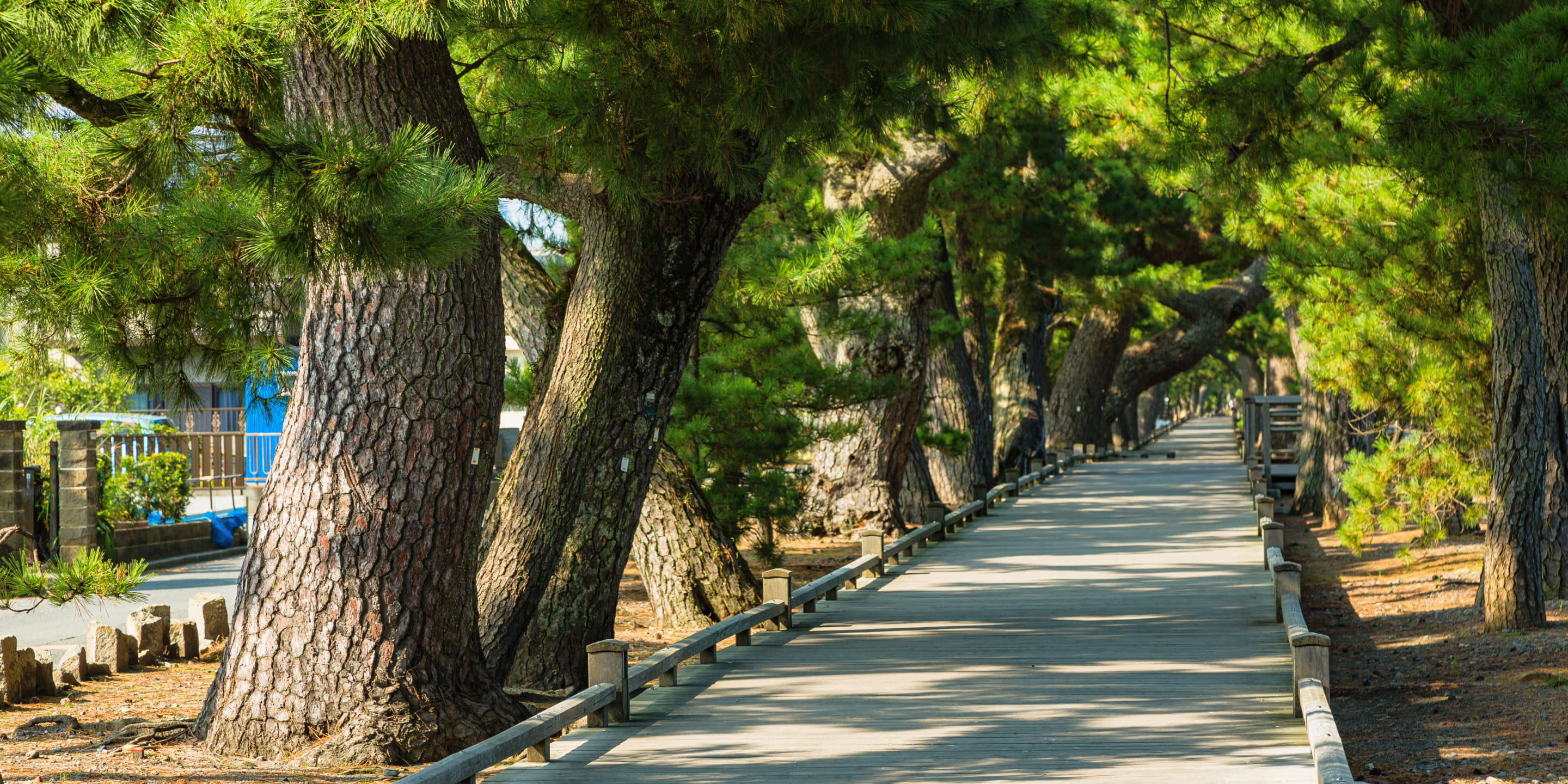 富士の絶景を未来へ繋ぐ