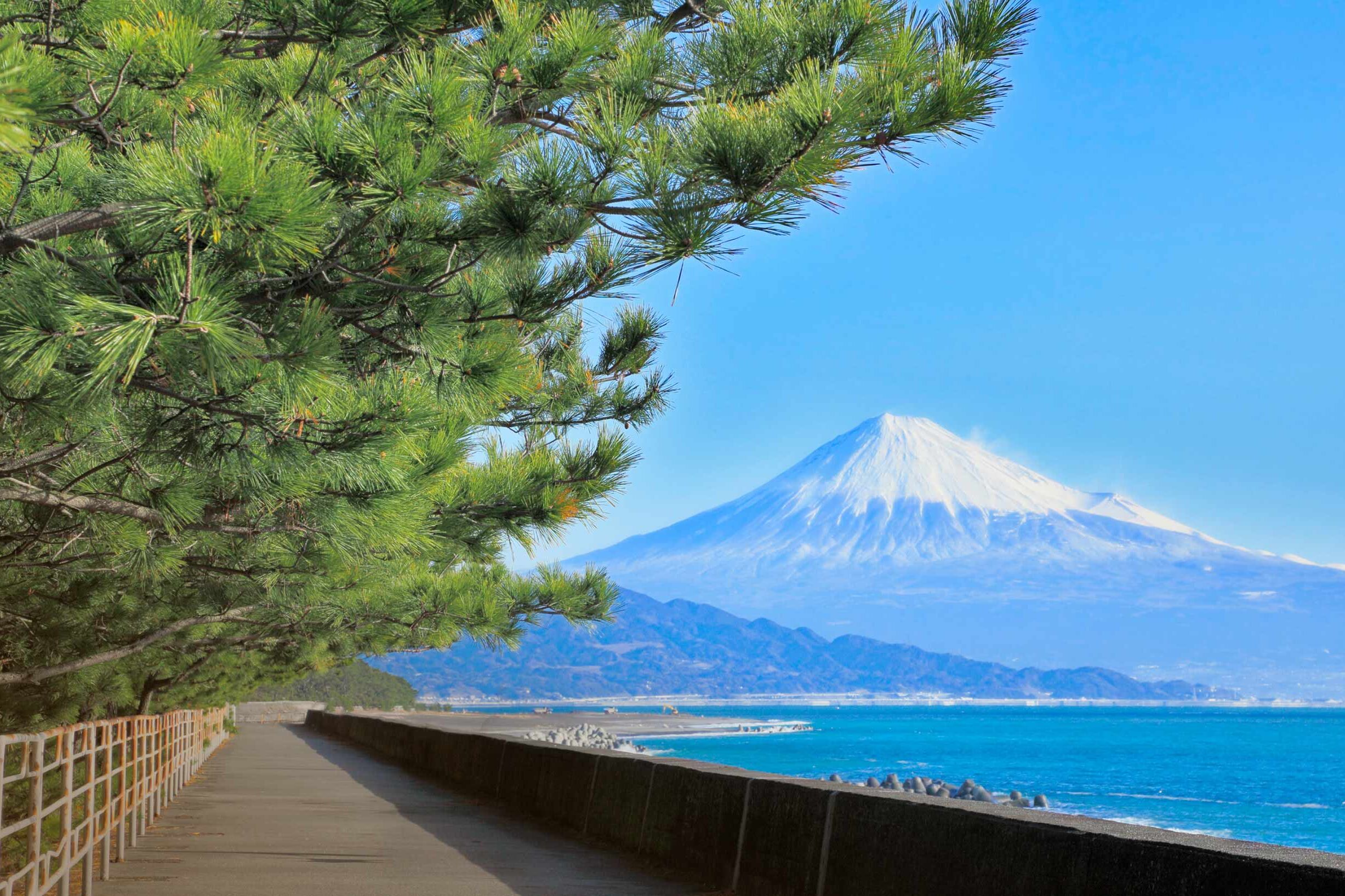 富士の絶景を未来へ繋ぐ