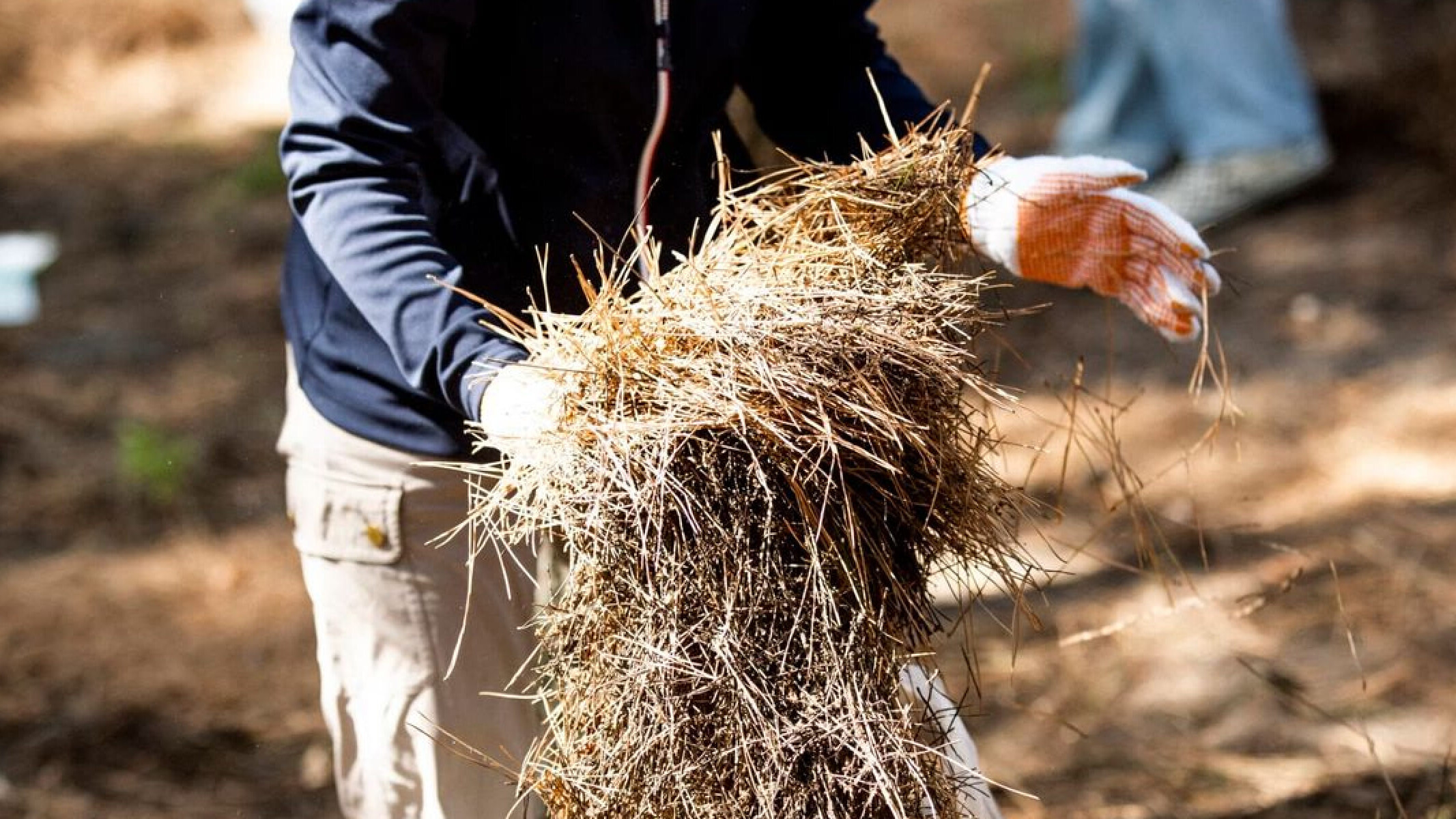 富士の絶景を未来へ繋ぐ