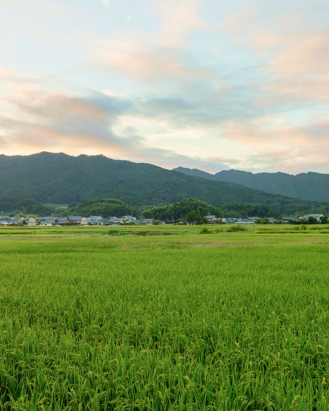奈良・明日香村