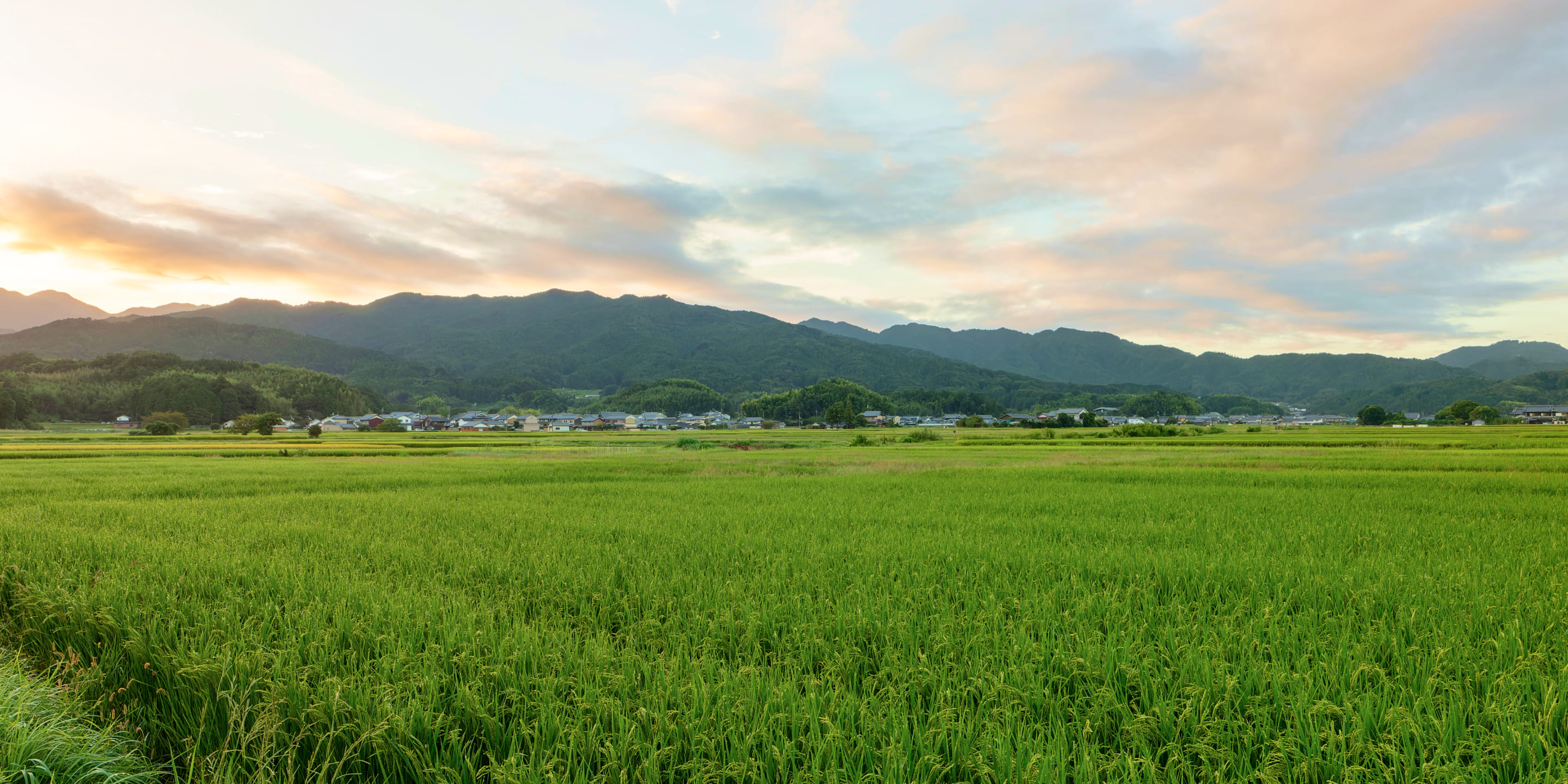 奈良・明日香村