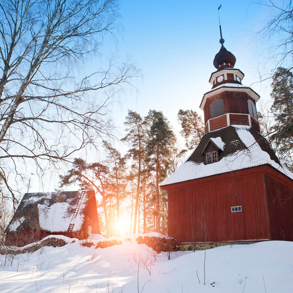 日本語ガイドと行く！ヘルシンキの森散策ツアー