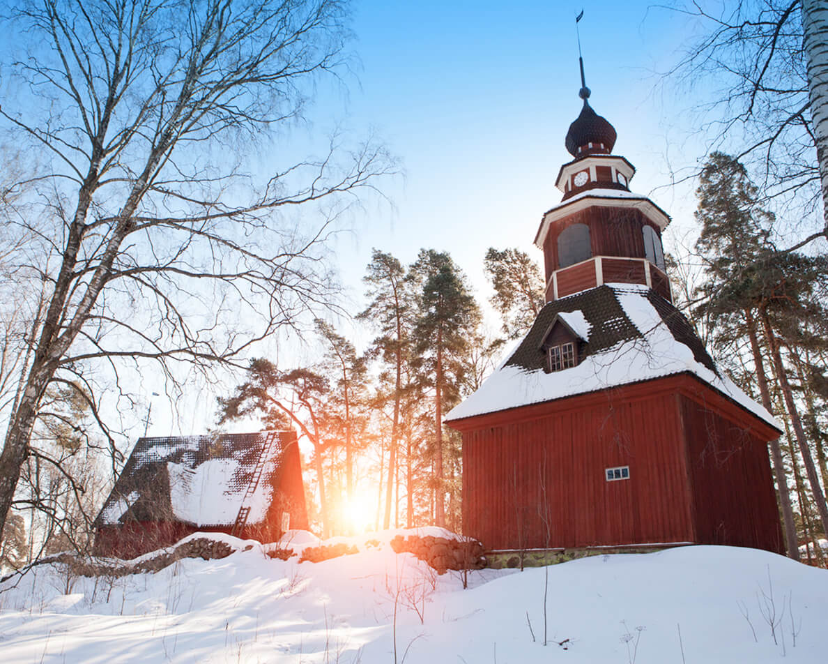 日本語ガイドと行く！ヘルシンキの森散策ツアー