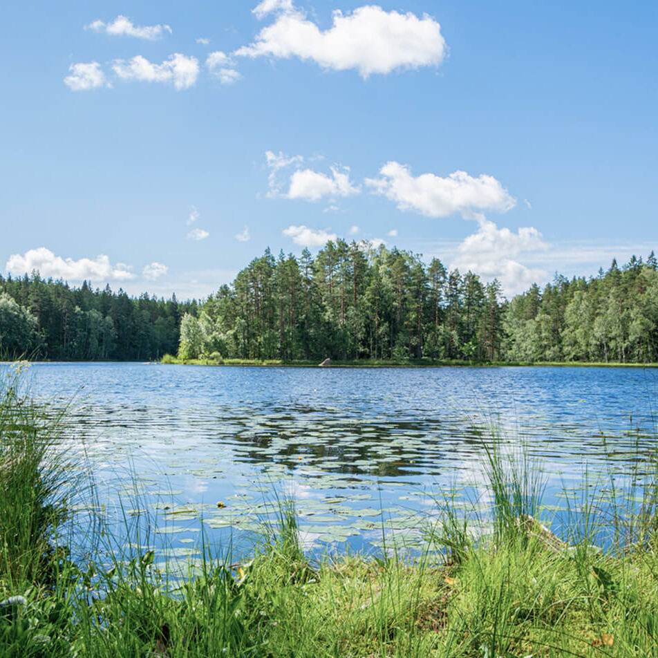 フィンランドの暮らしを体感！映画「かもめ食堂」ロケ地ツアー