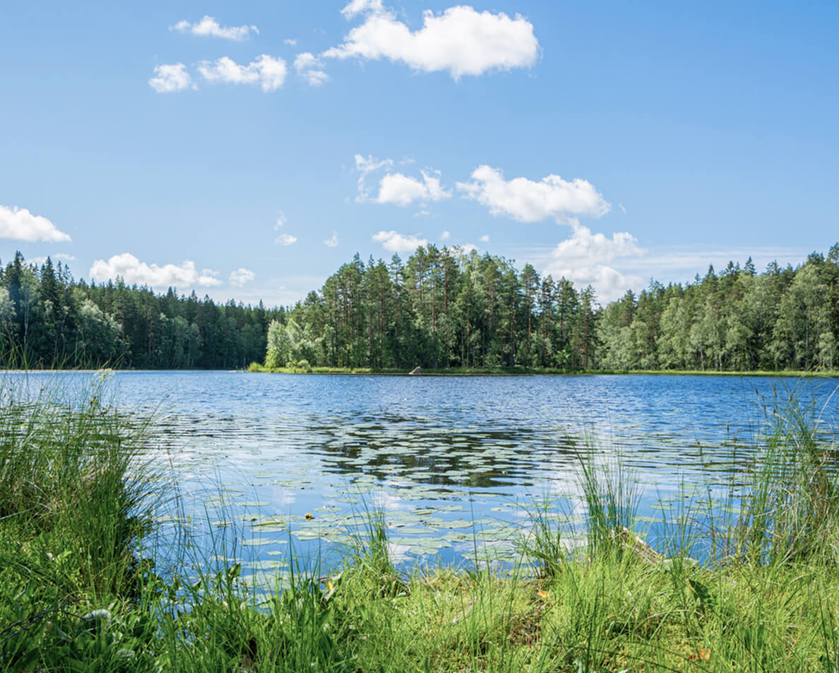 フィンランドの暮らしを体感！映画「かもめ食堂」ロケ地ツアー