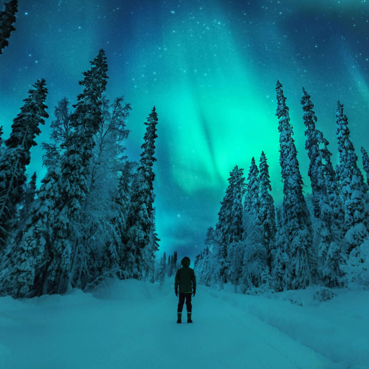 解き放たれる旅､フィンランド