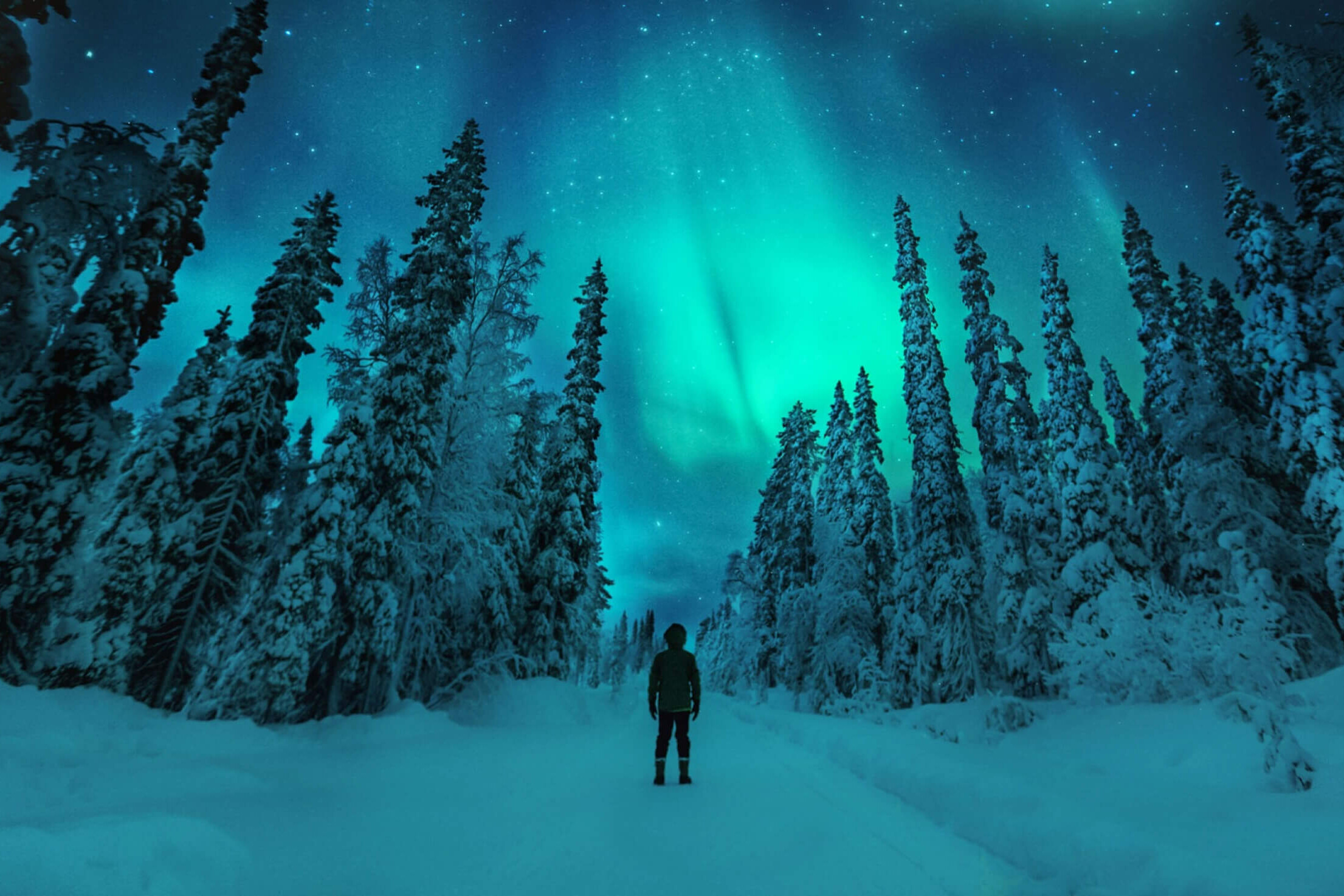 解き放たれる旅、フィンランド