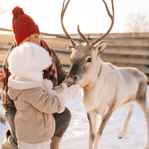 どんな人でも楽しめる